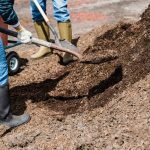 Mulching Services: Why Mulch Is Essential for a Healthy Landscape