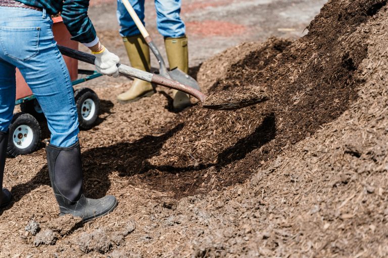 Mulching Services: Why Mulch Is Essential for a Healthy Landscape