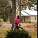 Leaf Removal Services: Why Removing Leaves Protects Your Lawn