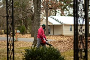 Leaf Removal Services: Why Removing Leaves Protects Your Lawn