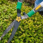 Hedge Trimming Services: Keep Your Landscape Neat and Healthy